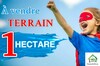 1 hectare à vendre à 170 MD à Birbourgba