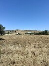 av terrain agricole de 3 hectares 150MD hectare