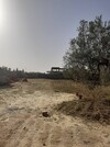 av des lots 691m situé a sidi hammed