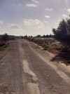 av des lots 400m situé a sidi hammed