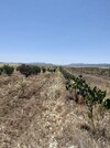 av terrain de 6500msitué a latrech