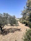 av terrain de 1456m² situé a 7min de hammamet
