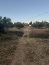 av terrain agricole de 15000m² a hammamet