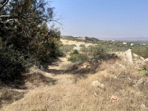 av terrain 1456m² de hammamet