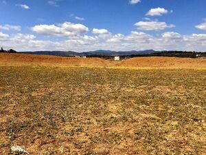 av terrain 462m de hammamet sud