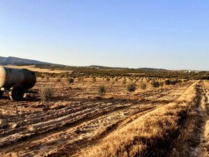 av terrain 1000m de monchar hammamet