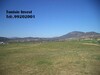 av 17900m terrain agricole a hammamet