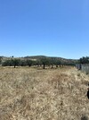 av terrain de 3 hectares a hammamet sud
