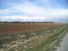 av terrain agricole de 9000m² située a bouficha