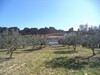 av terrain de 1030m située a monchar hammamet