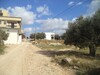 av un terrain de 65md située a sidi hammed