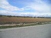 av un terrain de 9000m² situee a landaria bouficha