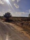av des lots de 400m situé a hammamet sud