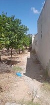 av un terrain de 670m situé a hammamet