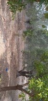 av un terrain situé a birbouregba hammamet