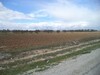 av terrain 9000m² située à landaria bouficha hammamet