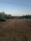 av un terrain 15000m² à hammamet latrech de 220MD