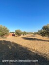 TERRAIN MAYAR AV à Hammamet El Monchar