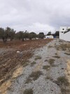 av des lots sur G 99958728 hammamet