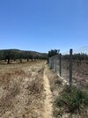 av 2 hectares+7000m à hammamet