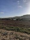 av terrain agricole de 10000m sur la route à hammamet sud
