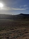 terrain agricole de 10000m à hammamet