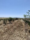 av terrain de 6500m pas loin de hammamet