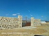TERRAIN MZIRAA AV à Hammamet Birbouregba II II