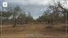 terrain a sidi hamed 3 klm de barket sahel