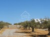 Lots de terrain constructibles à vendre à Hammamet Sud