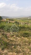 Terrain arboré de 1000 m² à vendre à Hammamet Sud