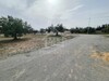 Terrain de 587 m² à vendre à Hammamet Sud à 140 MD