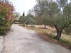 Terrain viabilisé de 200 m² à Hammamet Nord à vendre