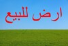 la surprise d'octobre : des lots a kerkouanekélibia a vendre