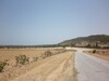 Hectar vue mer 20mn de yasmine hammamet