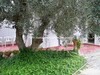 villa la mamma hamammet