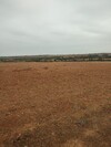 Terrain 14 hectares avec 2 villas inchevés à korba