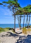 un beau terrain en première position