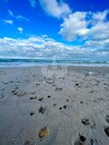 a vendre appartements vue sur mer à la plage hammem ghzez