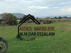 ferme près de la mer