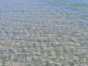 1 Hectare de Terrain Côtier