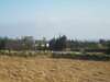 1000 Sea view area Craxi Hammamet