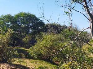 ارض في ازمور للبيع