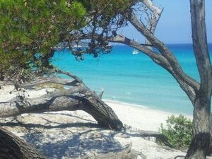 Occasion à saisir à Ezzahra kélibia