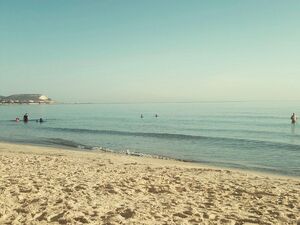 The sea is the source of our greatest bliss