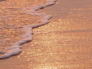 The ocean stirs the heart