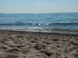 Prendre un moment pour examiner cette opportunité