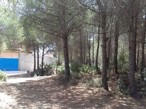 Terrain proche de la mer