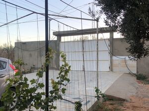 ferme à kalaa kbira à vendre