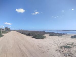 Vente d'un terrain agricole à El Maamoura beach